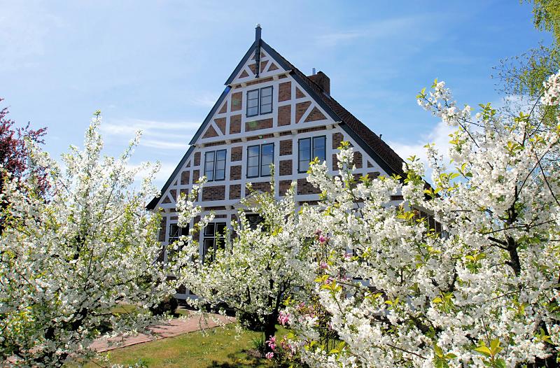 2720_2356 Wohnhaus mit Fachwerk zwischen blühenden Obstbäumen.  | Fruehlingsfotos aus der Hansestadt Hamburg; Vol. 2